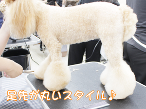 ２年生のトリミング実習♪